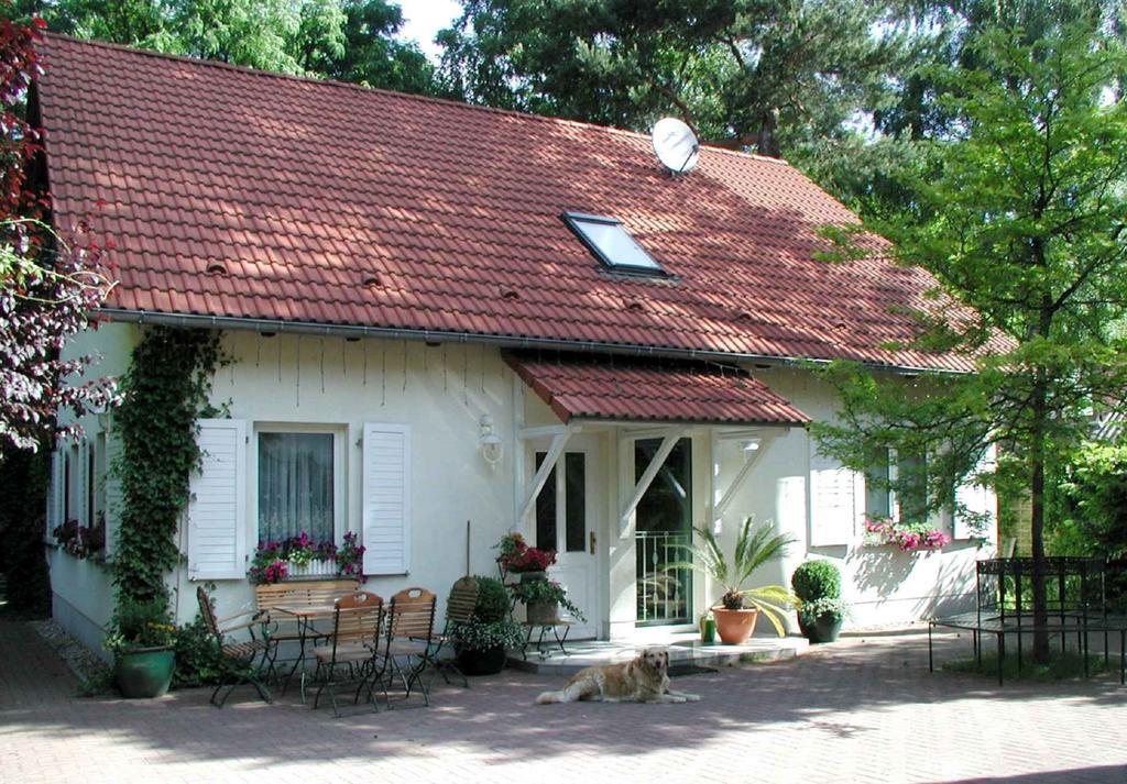 Biggis Waldpension Michendorf Εξωτερικό φωτογραφία